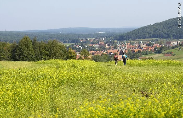 Wandern bei Spalt