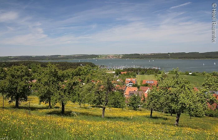 Blick über den Brombachsee