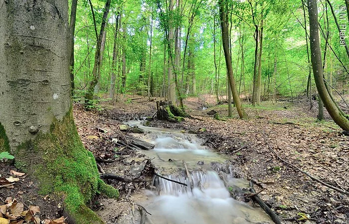 Wasserlauf Römmerbrunnen