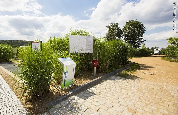 Infotafeln im Grünen