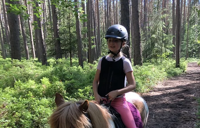 Reitausflug im Wald