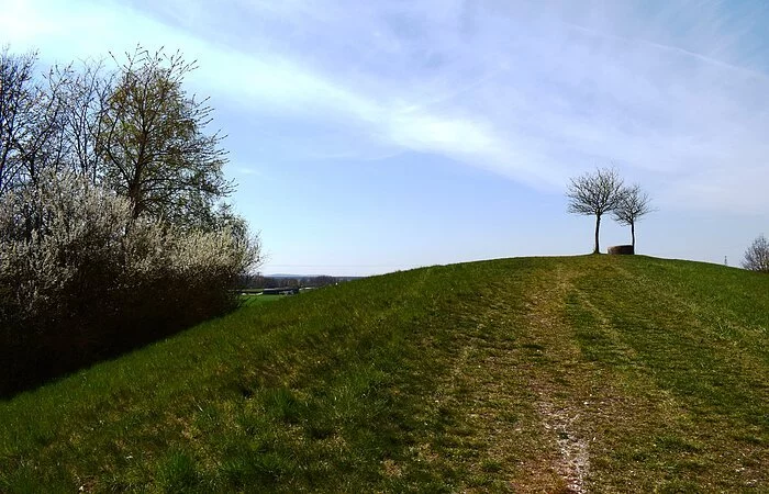 Grüne Landschaft im Frühling