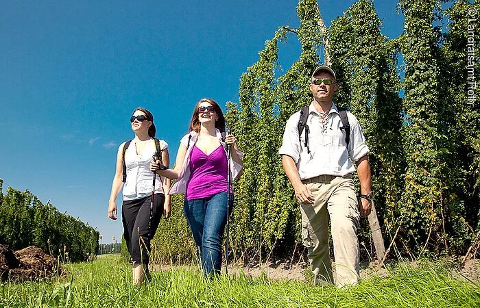 Wandern im Spalter Hopfenland