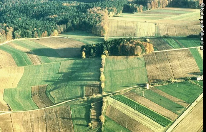 Hecke über Limesverlauf bei Burgsalach