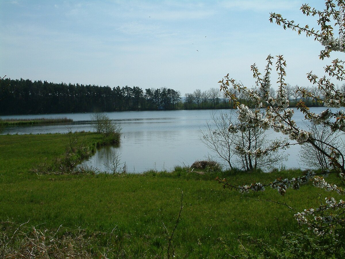 Angeln am Eichenberger Weiher