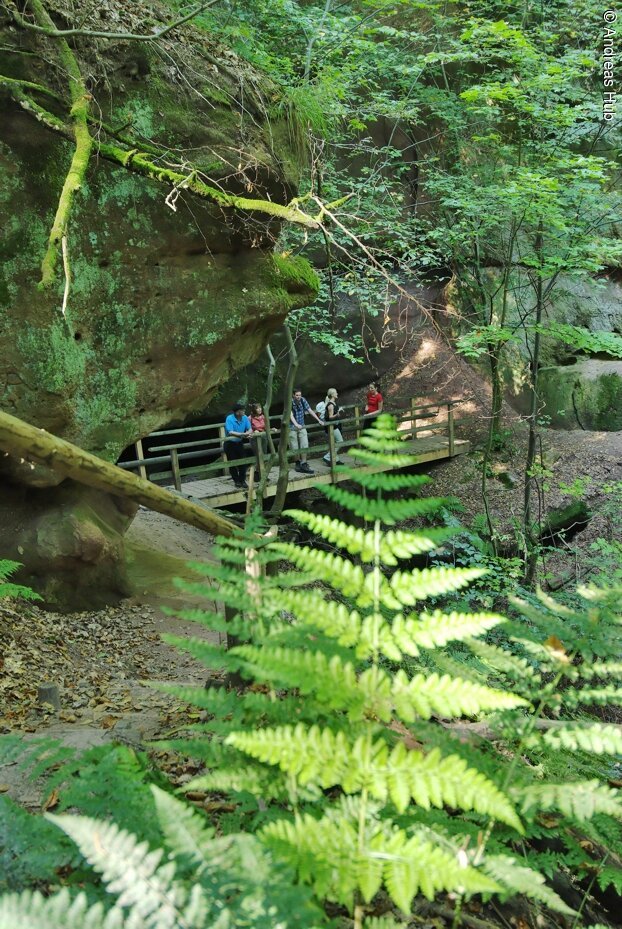 Schnittlinger Loch Spalt