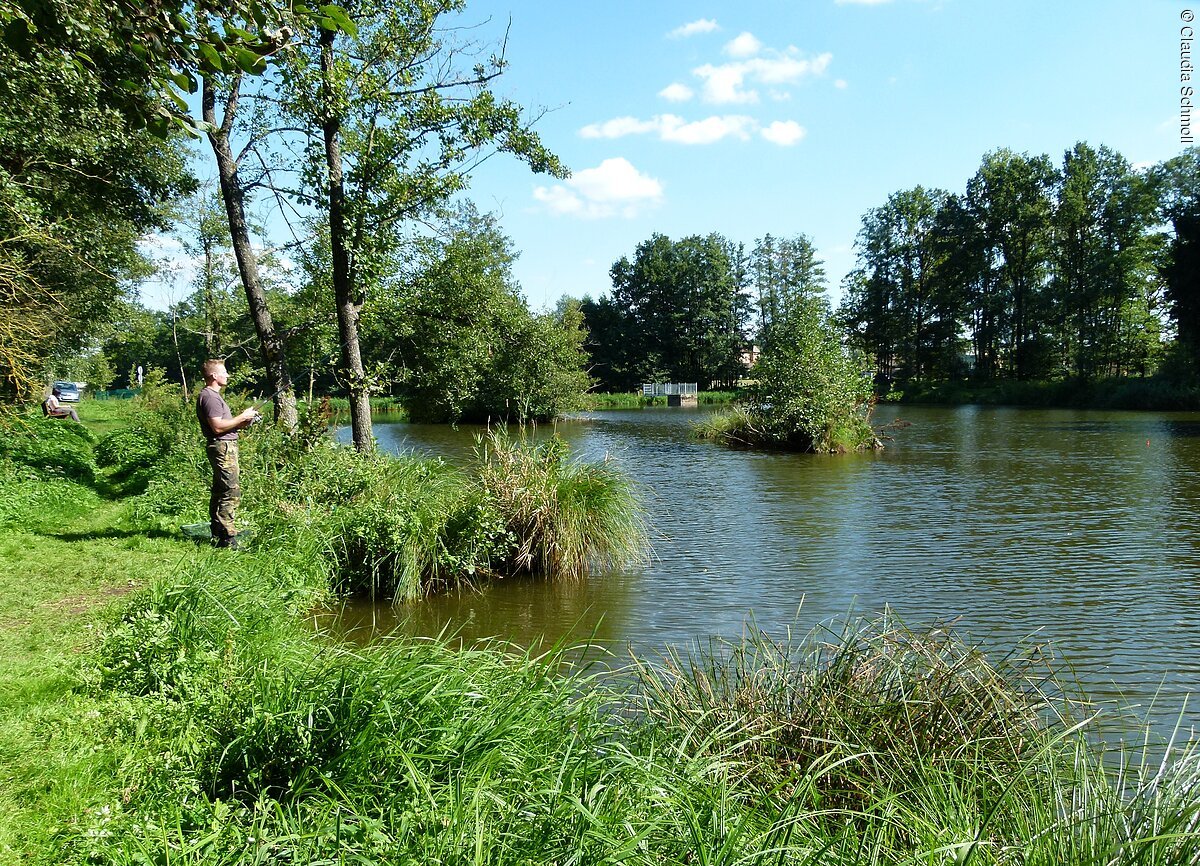 Frisches Wasser für frische Fische in Pfofeld