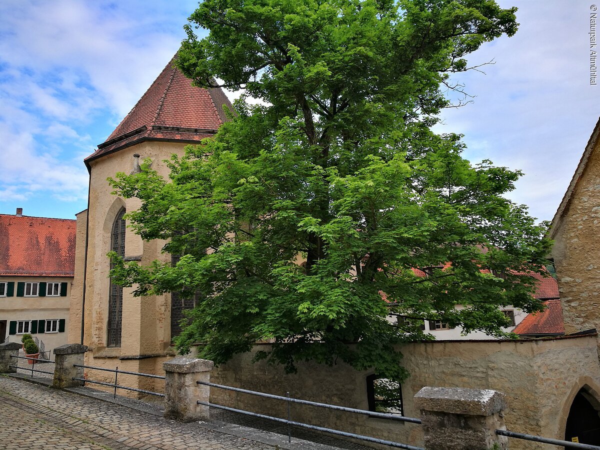 Augustinerkloster Pappenheim