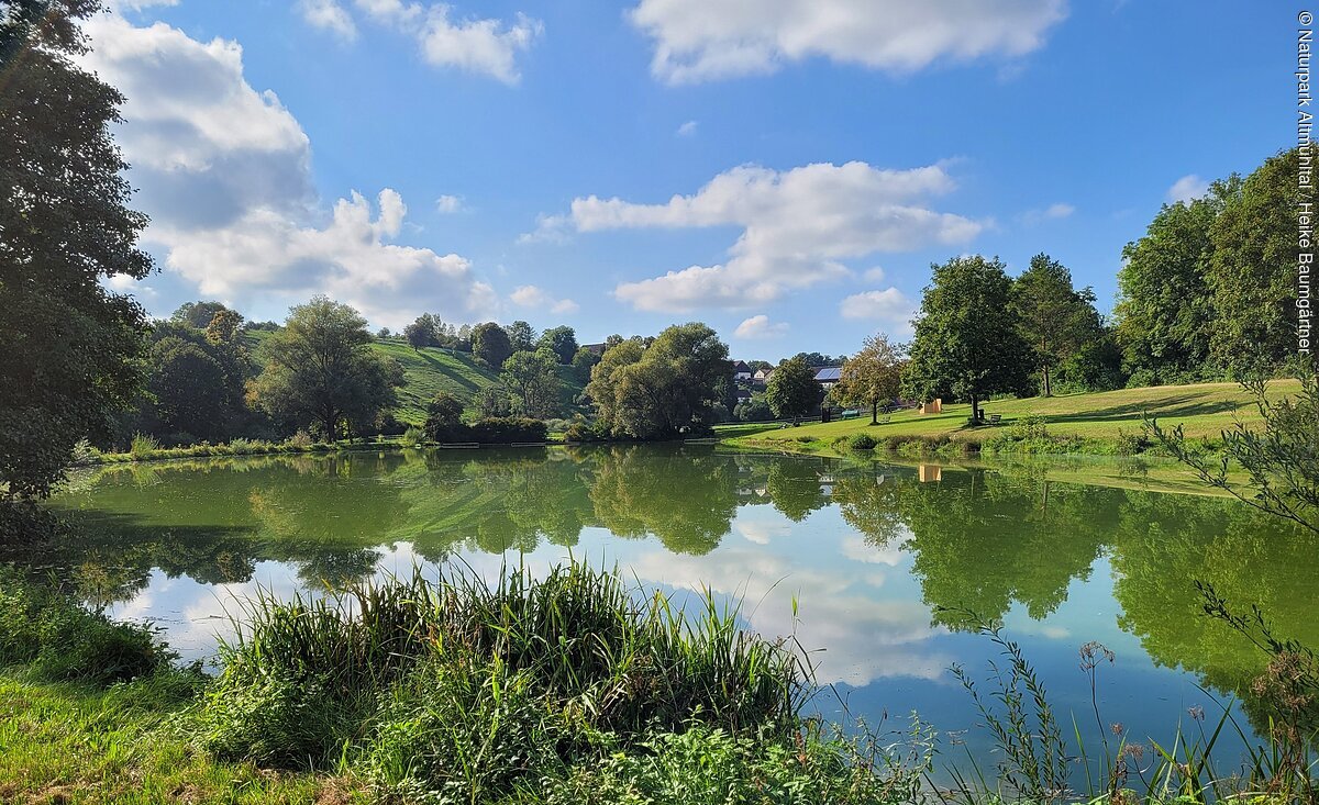 Ein Teich mit grüner Vegetation und Bäumen spiegelt sich im Wasser, unter blauem Himmel mit Wolken.