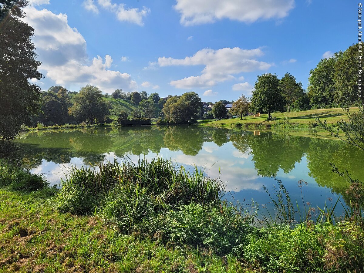 Ein Teich mit grüner Vegetation und Bäumen spiegelt sich im Wasser, unter blauem Himmel mit Wolken.