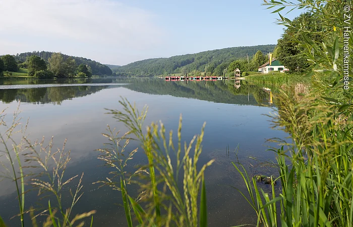 Hahnenkammsee Seeufer mit Schilf im Vordergrund, ruhiger See, bewaldete Hügel im Hintergrund, Gebäude am Ufer.