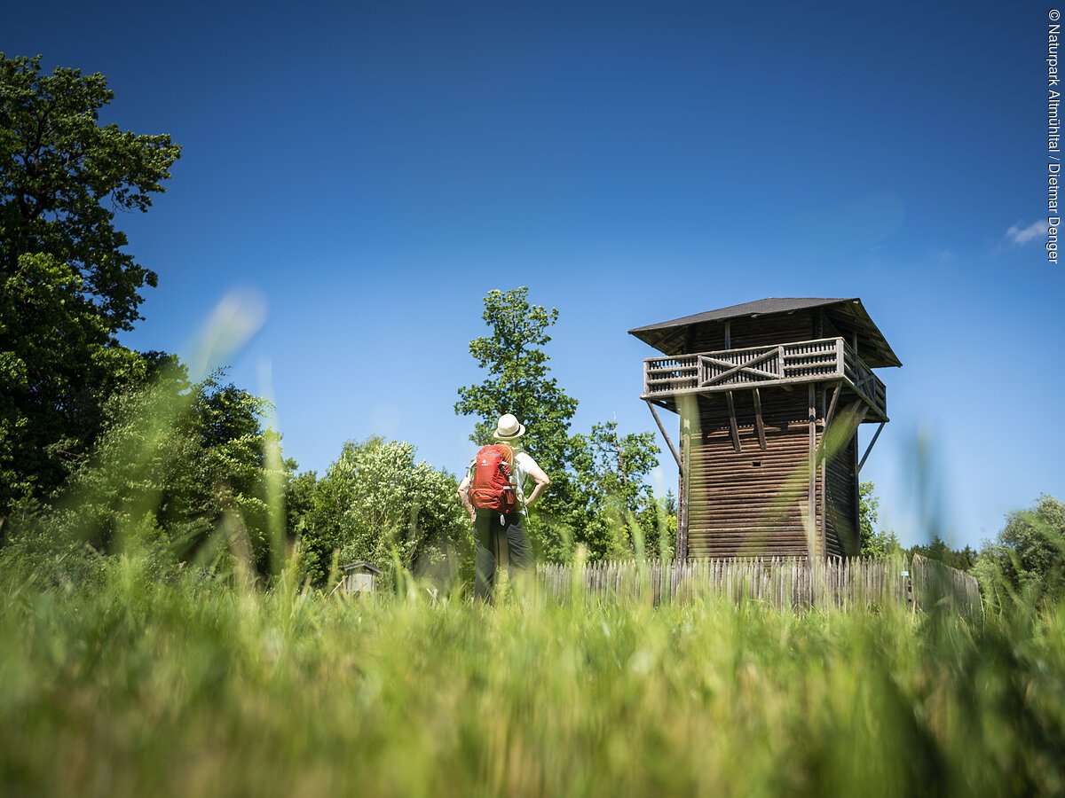 Limes-Wanderweg (Burgsalach) Wanderer mit rotem Rucksack steht auf Wiese vor hölzernem Aussichtsturm bei blauem Himmel