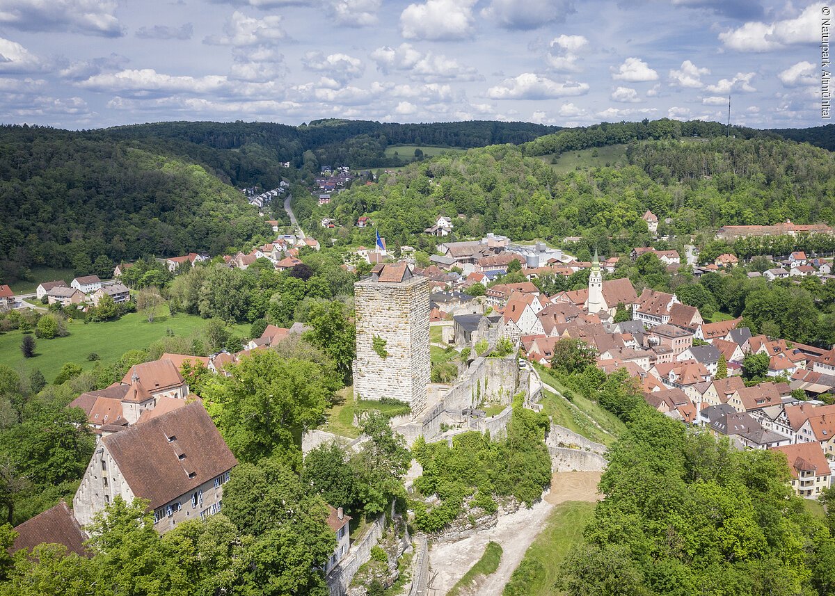 Burg Pappenheim Luftaufnahme einer Burg mit Turm und umliegendem Dorf in einer grünen Hügellandschaft unter bewölktem Himmel.