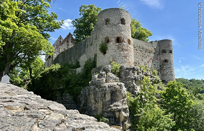 Im Zentrum des Bildes ist die Burg Pappenheim vor einem Blauen Himmel zu sehen. Der Fels auf dem die Türme stehen ist von viel Vegetation bedeckt. Am linken Bildrand steht ein Baum.