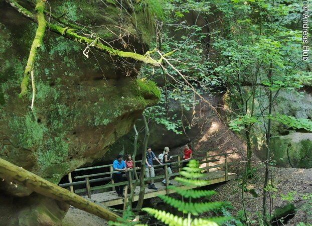 Wanderer besichtigen das grüne Schnittlinger Loch. Die Wanderer stehen auf einer Holzbrücke über einer Schlucht. Links und Rechts grün bewachsene Felsen.