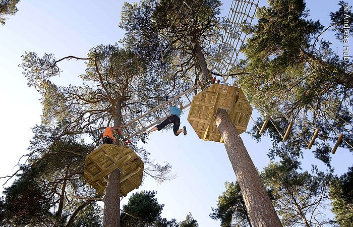 Zwei mutige Kletterlustige im Kletterwald Enderndorf  hangeln sich in großer Höhe entlang einer Leiter von Baum zu Baum.