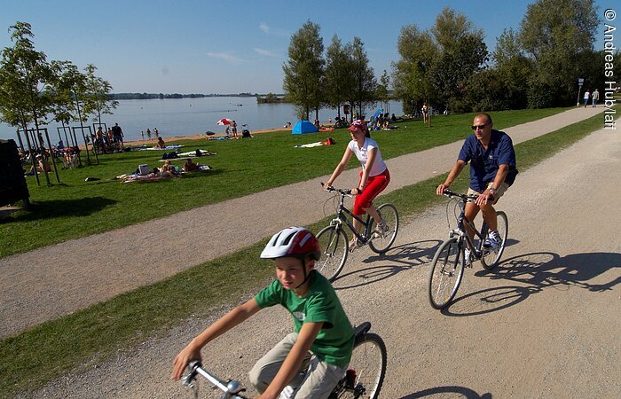 Radeln am Altmühlsee Drei Radfahrer radeln auf einem Fahrradweg am See. Im Hintergund der See mit Sandstrand umgeben von Bäumen.