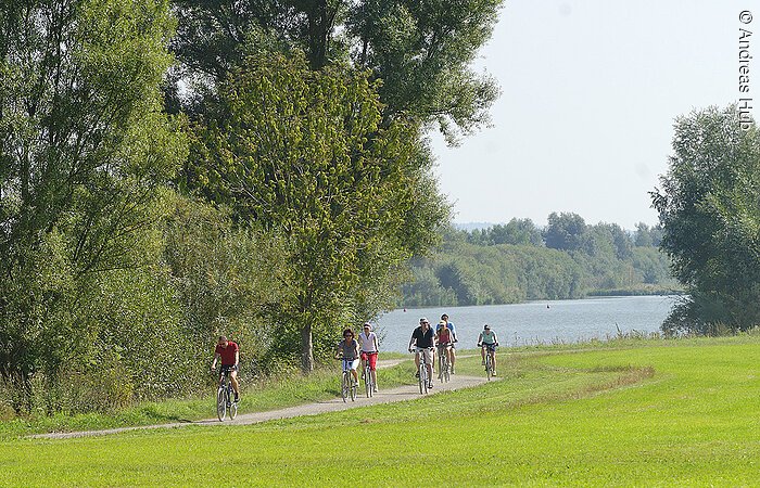 Von See zu See Eine Gruppe Radler fährt auf einem Uferweg entlang grüner Wiesen und Bäume. Im Hintergund sieht man einen See.