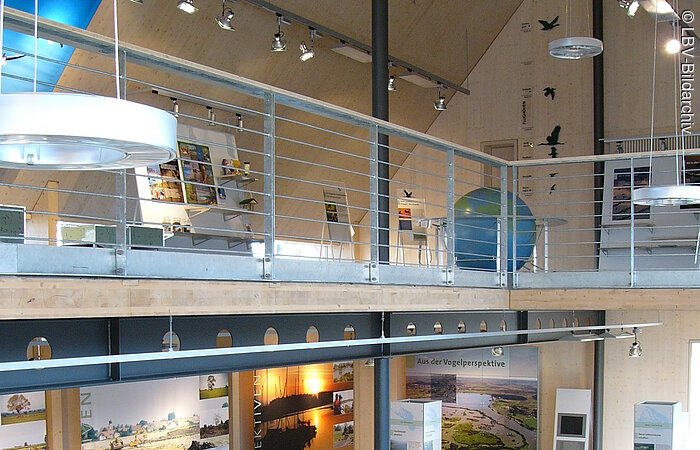 Die Ausstellung "Lebensraum Altmühlsee - Faszination Vogelzug" erstreckt sich über zwei Ebenen.