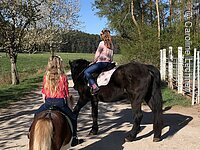Aufnahme von hinten von zwei jungen Mädchen die auf einem Pferd und einem kleinen Pony auf einer geteerten Straße entlang von grünen Wiesen reiten.