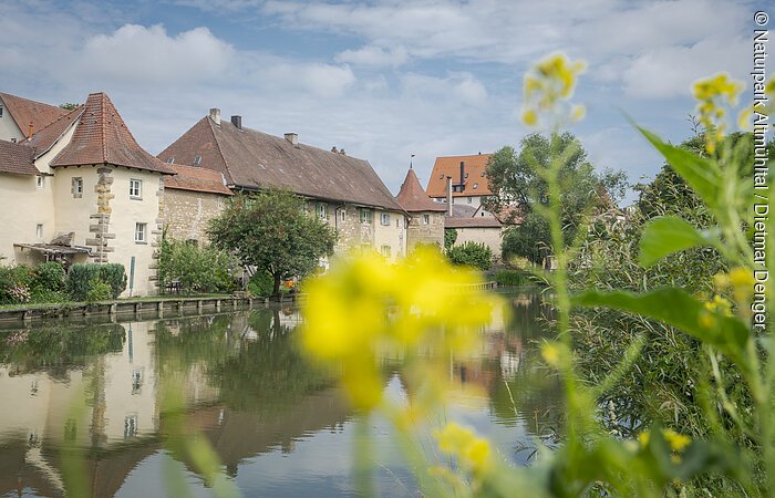 Historische Häuser mit roten Dächern am Flussufer, im Vordergrund unscharfe gelbe Blumen und grüne Pflanzen.