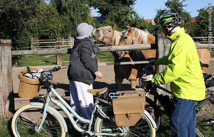 Zwei Radfahrer stehen mit ihren Rädern vor einer Pferdekoppel und streicheln zwei hellbraunen Pferde.