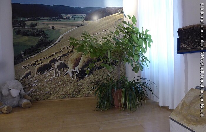 Ausstellung Schafbeweidung im NPA