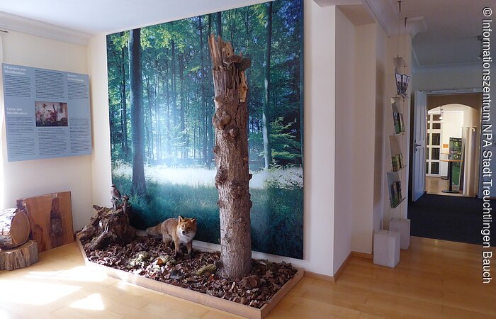 Ausstellungen Stadtschloss