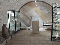 Fossilien-Ausstellung