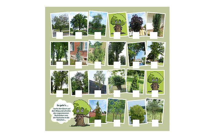 Bilder von Bäumen in drei Fünferreihen