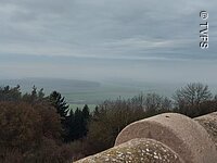 Blick in die Ferne Blick von oben auf einen dunklen Wald. Der Himmel ist grau-blau und bewölkt.