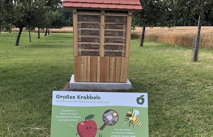 Ein Insektenhotel aus Holz steht auf einer großen grüne Wiesen. Obstbäume stehen in Reihen. Vor dem Insektenhotel eine Infotafel mit der Aufschrift Großes Krabbeln.