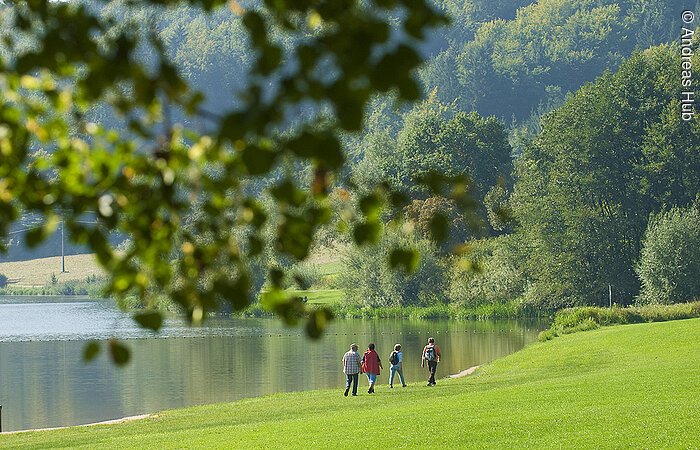Vier Urlauber wandern direkt am Ufer des Hahnenkammsees bei Hechlingen am günen Ufer entlang.