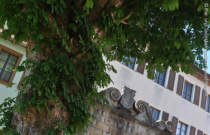 Der Torbogen zum Stadtschloss