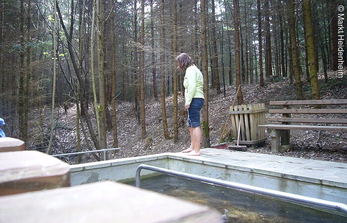 Eine Besucherin steht am Beckenrand eines Kneippbecken. Im Hintergund kahler Wald.