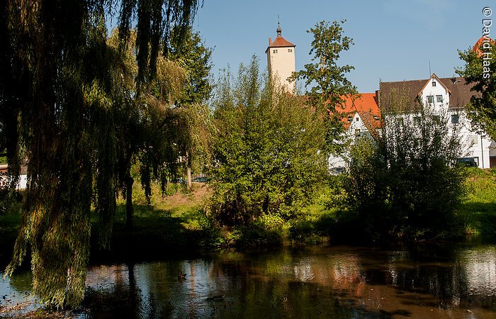 Blick auf einen fließenden Fluss. Am grünen Ufer wachsen Bäume und Büsche. Durch das Grün sieht man Häuser einer Siedlung und einen hohen Stadtturm.