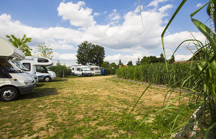 Links stehen Wohnmobile hintereinander in einer Reihe. Dann ein kurzer Abschnitt mit Wiese. Rechts grüne Sträucher. Im Hintergund zwei weitere Wohnmobile und drüber strahlend blauer Himmel mit weißen Wölckchen.