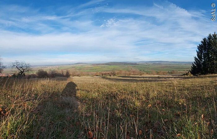 Großes braunes Feld unter blauem Himmel.