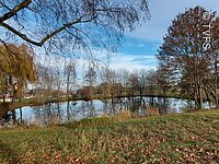 Ein keliner Weiher umgeben von herbstlicher Landschaft. Die kahlen Bäume spiegeln sich im Wasser.