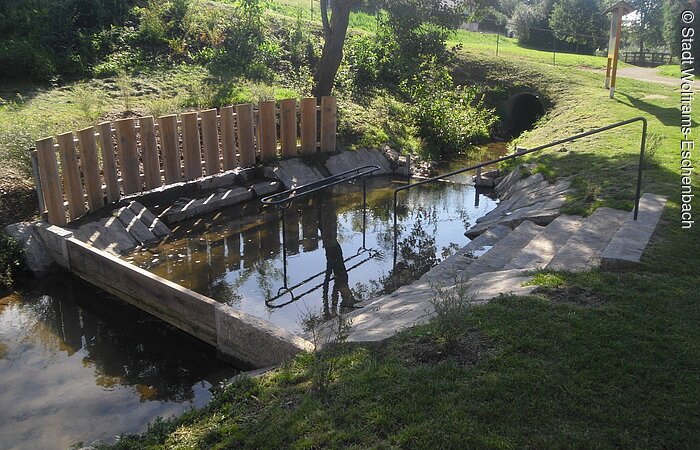 Eine Steintreppe führt in ein kleines Kneippbecken in der grünen Natur.