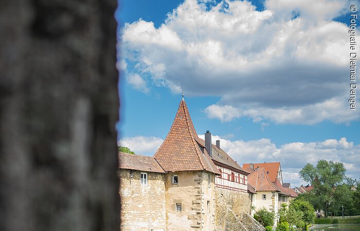 Shooting Weißenburg Juni 2022 Seeweihermauer