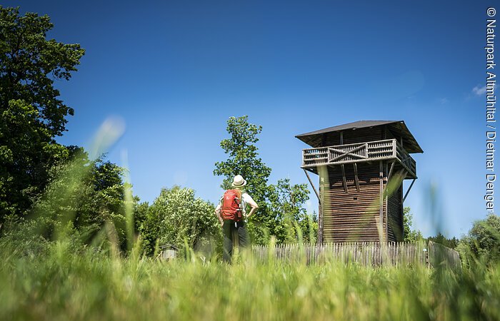 Limes-Wanderweg (Burgsalach) Wanderer mit rotem Rucksack steht auf Wiese vor hölzernem Aussichtsturm bei blauem Himmel