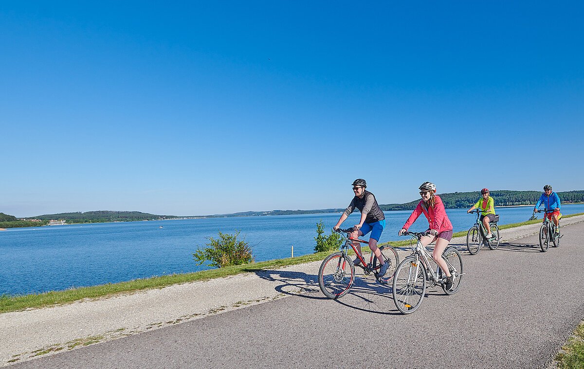 Eine Gruppe von vier Fahrradfahrern radelt bei strahlendem blauen Himmel an einem geteerten Uferweg direkt am See entlang.